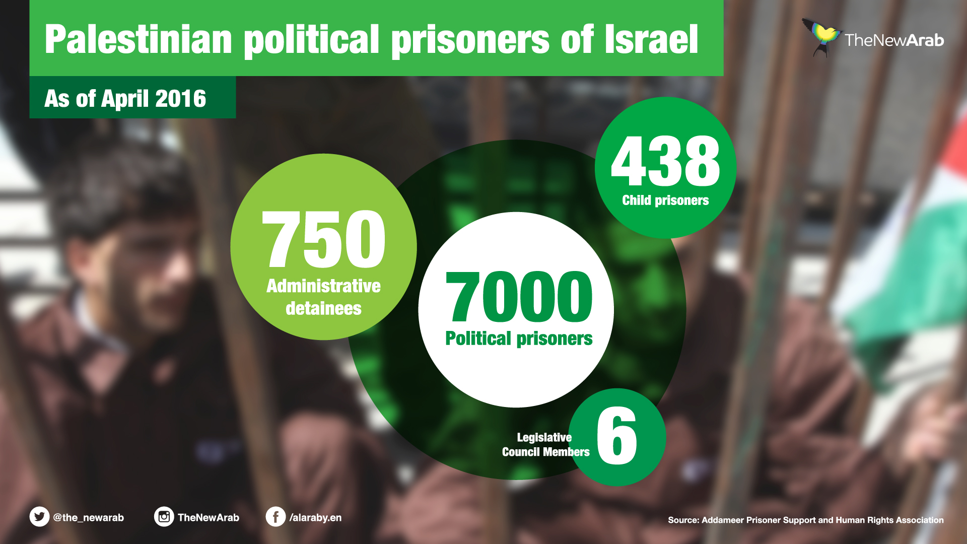 palestinian_detainees-01.jpg