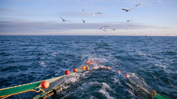 米国、日本、オーストラリア、インドは中国の違法漁業を阻止しようとしている