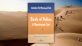 Birds of Nabaa