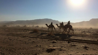 Zalaga Camel Race
