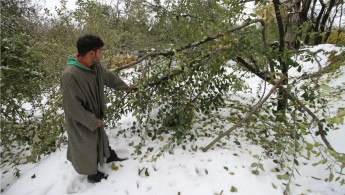 Kashmir snow [Aijaz Nazir[