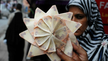 Kashmir money flower afp