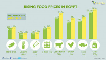 Rising Food Prices In Egypt