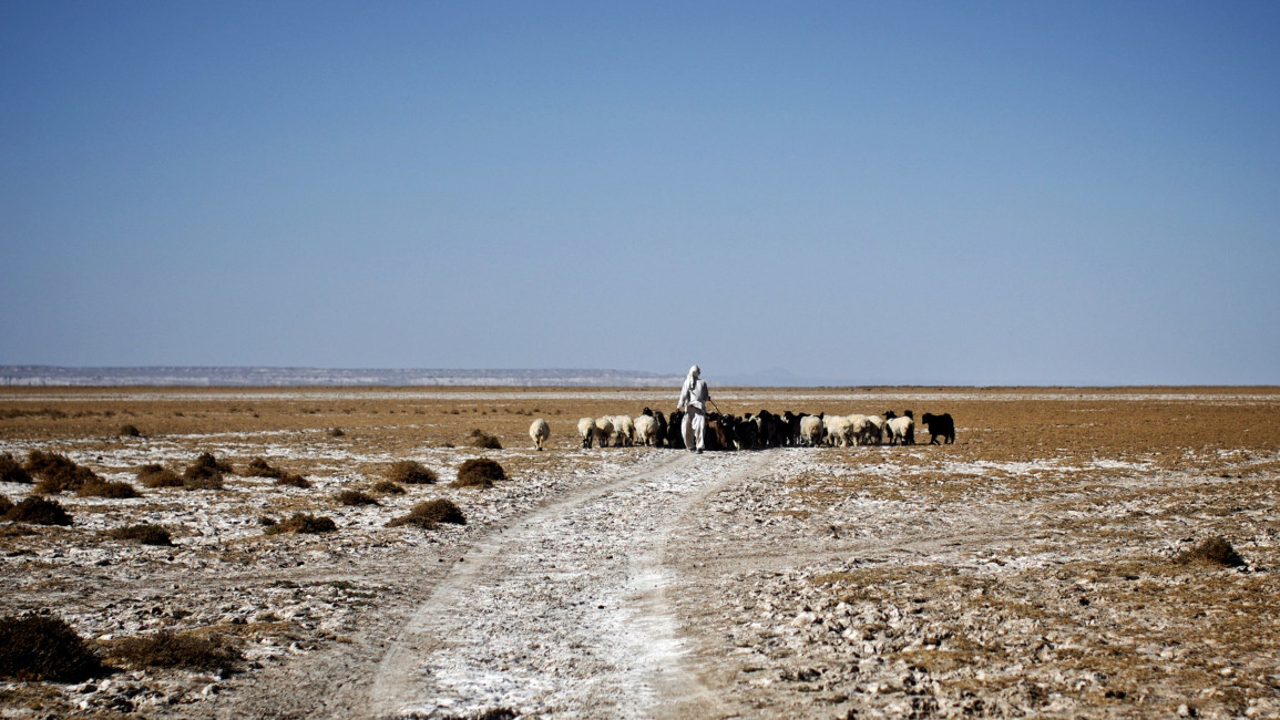 Iran is suffering a severe drought [Getty]