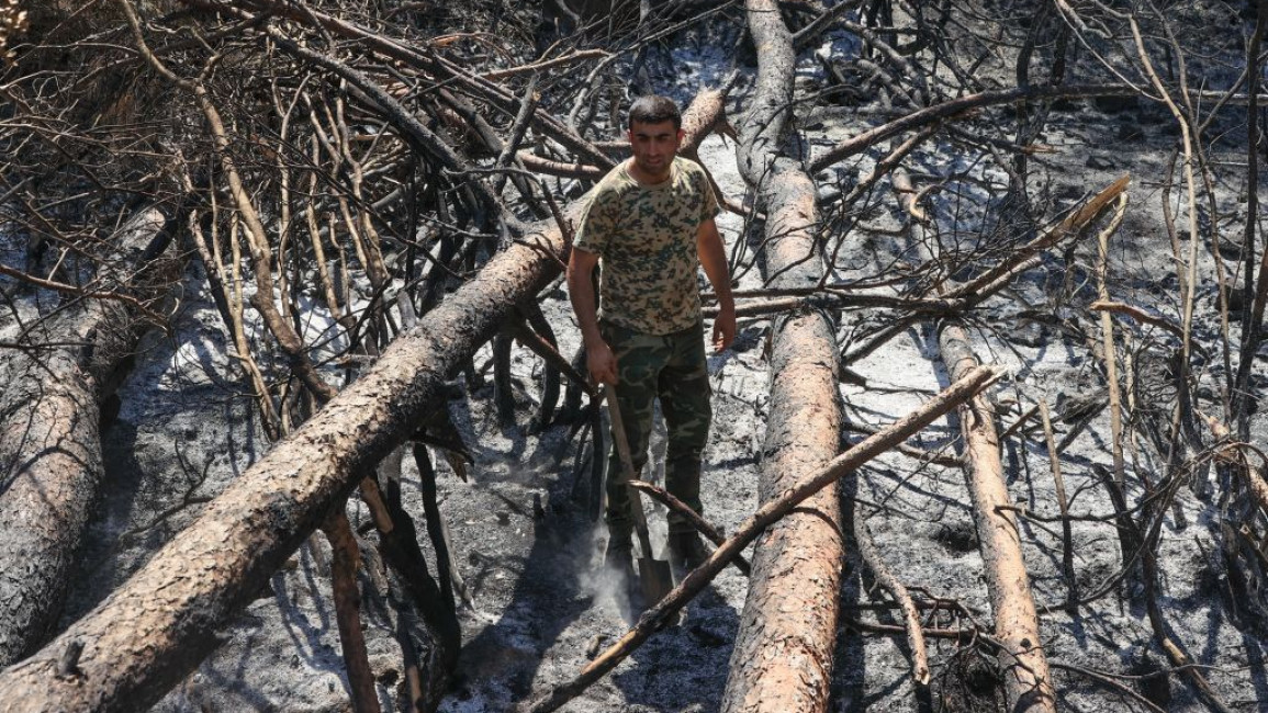 Members of Ministry of Emergency Situations of Azerbaijan help Turkey's fight against forest fires