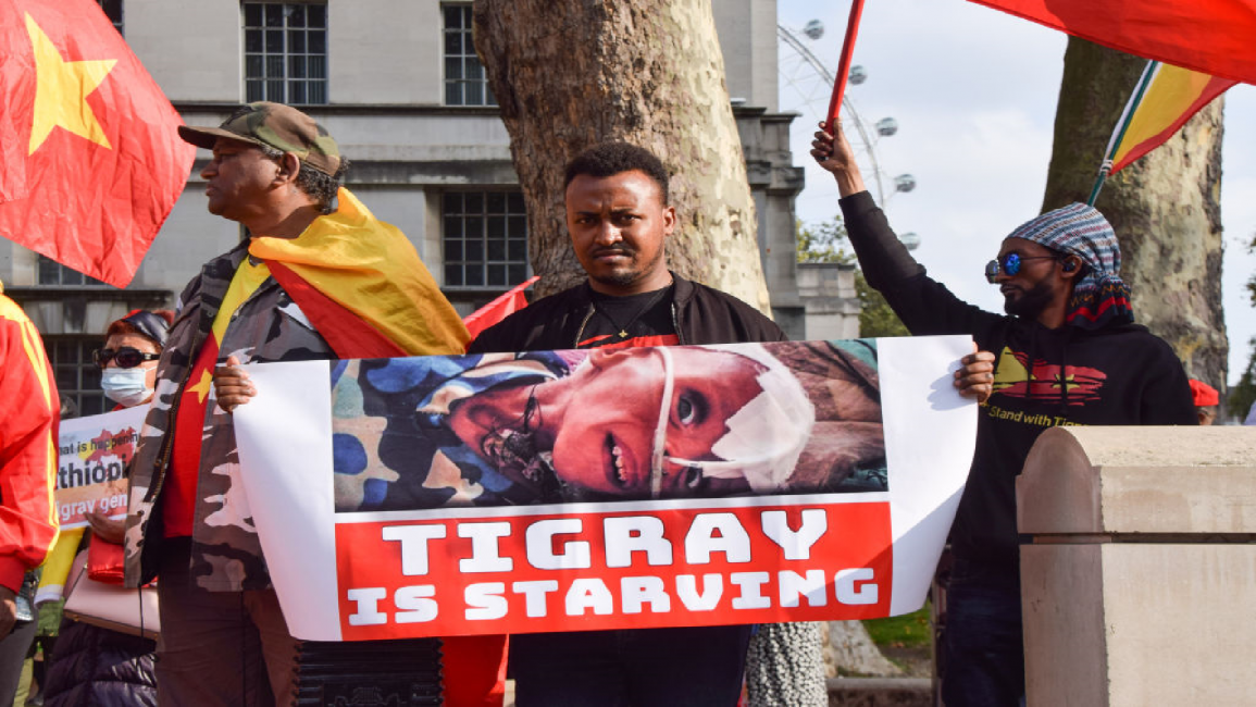 Tigray demo in London