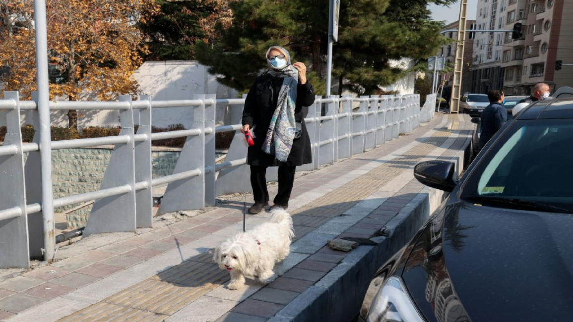 Iranian woman walks dog