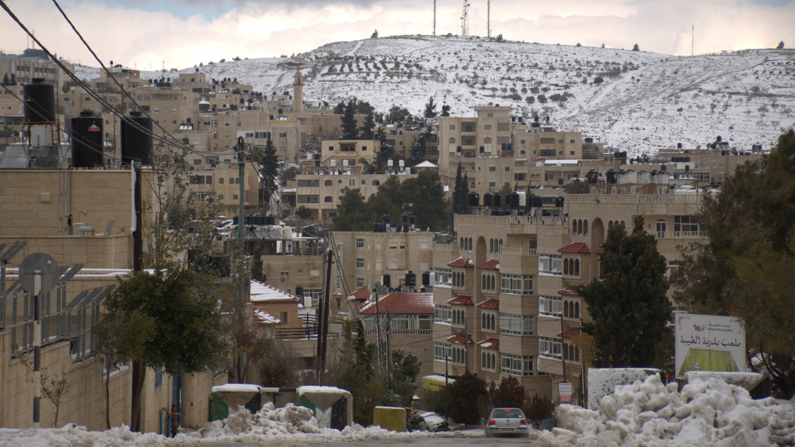 Snow Palestine / Qassam Muaddi