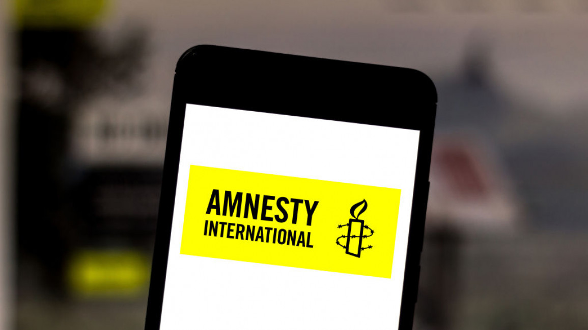 Amnesty International, Egypt 