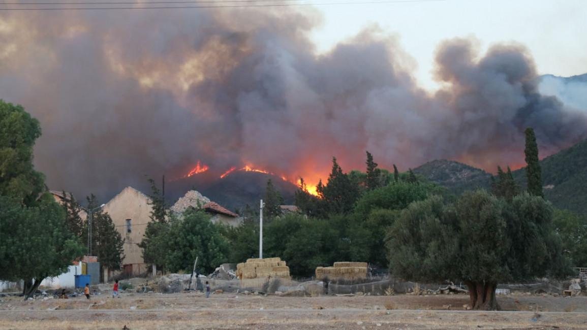 The fire on Jebel Boukernine threatened the southern suburbs of Tunis [Getty]