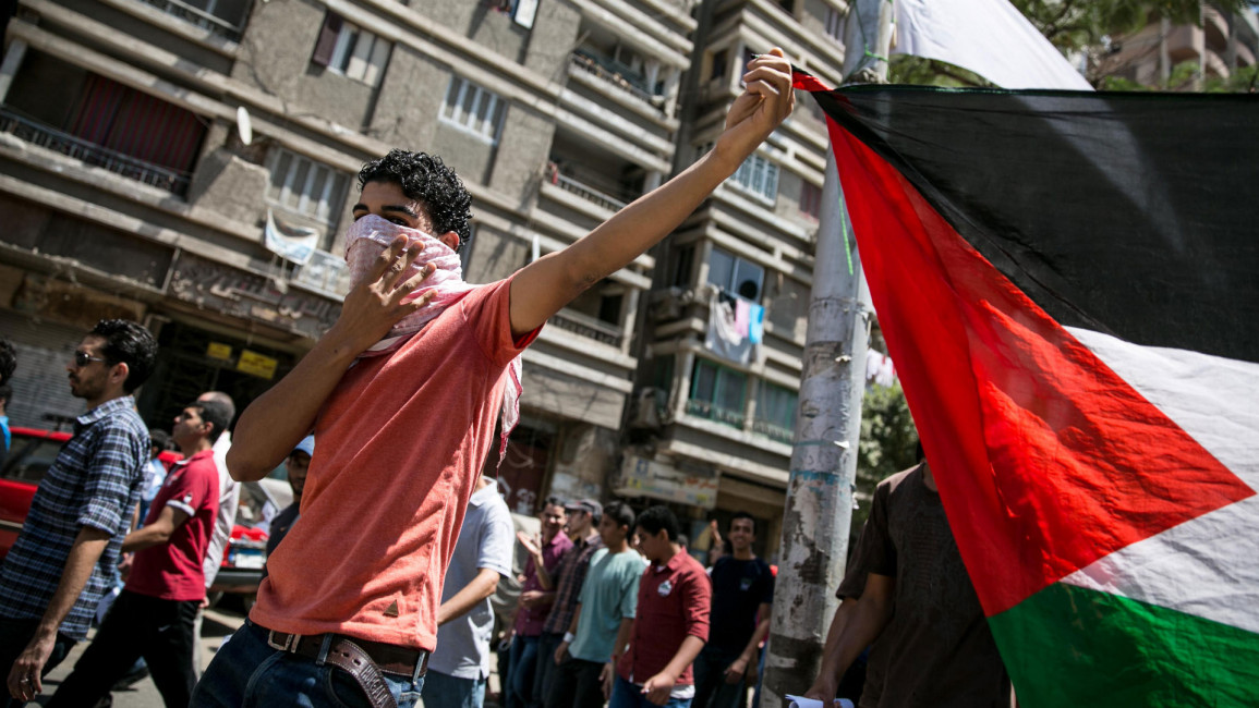 Egypt protests Palestine [Anadolu]