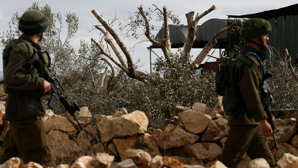israeli soldiers olive tree