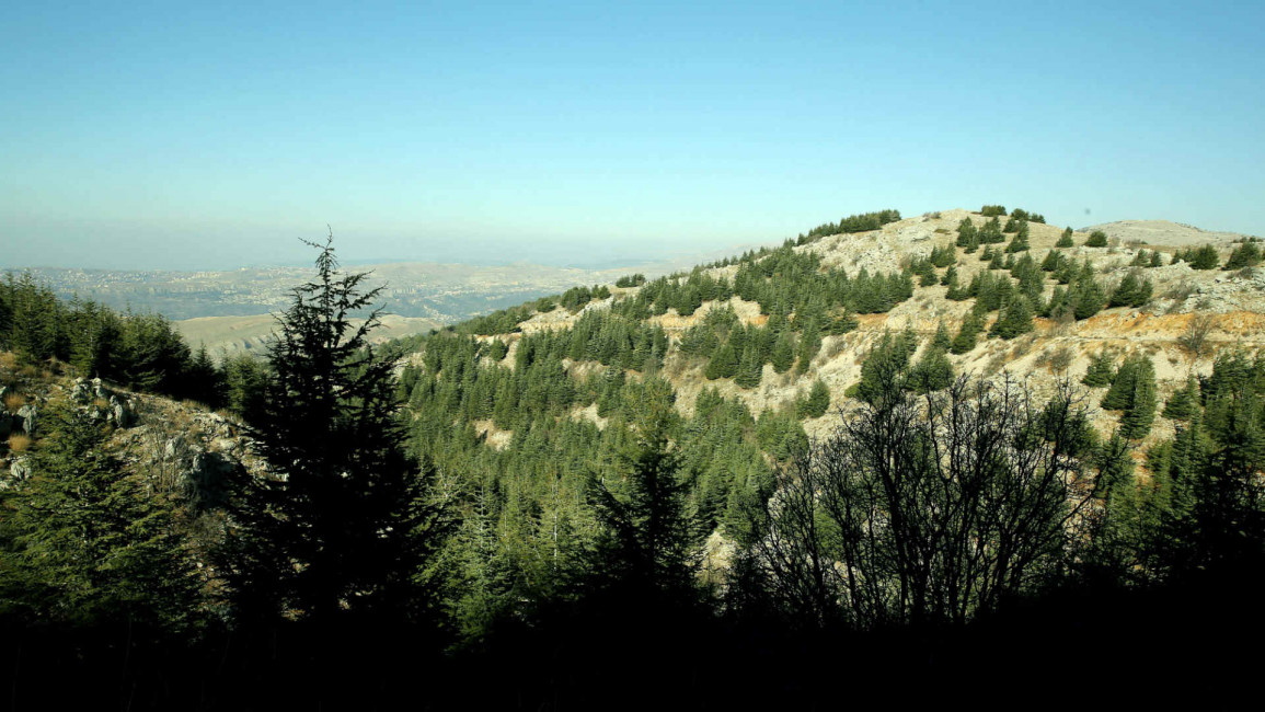 forest lebanon
