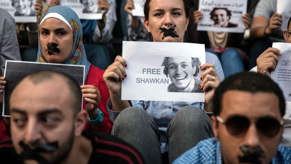 Free Shawkan - Anadolu