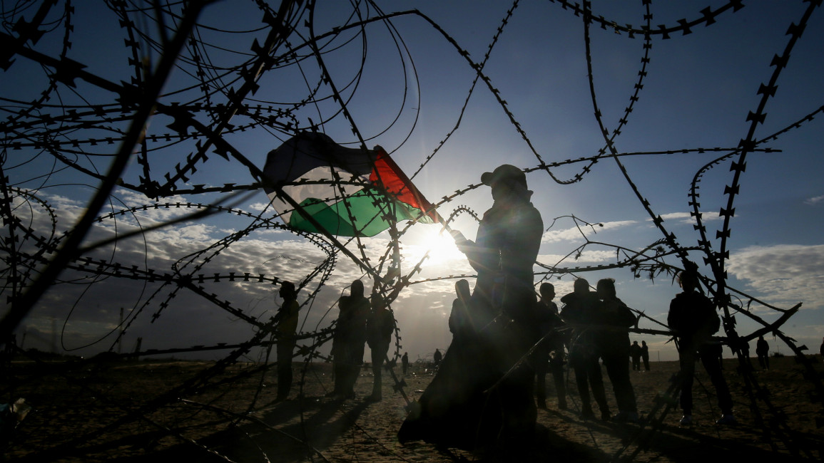 Palestine protests