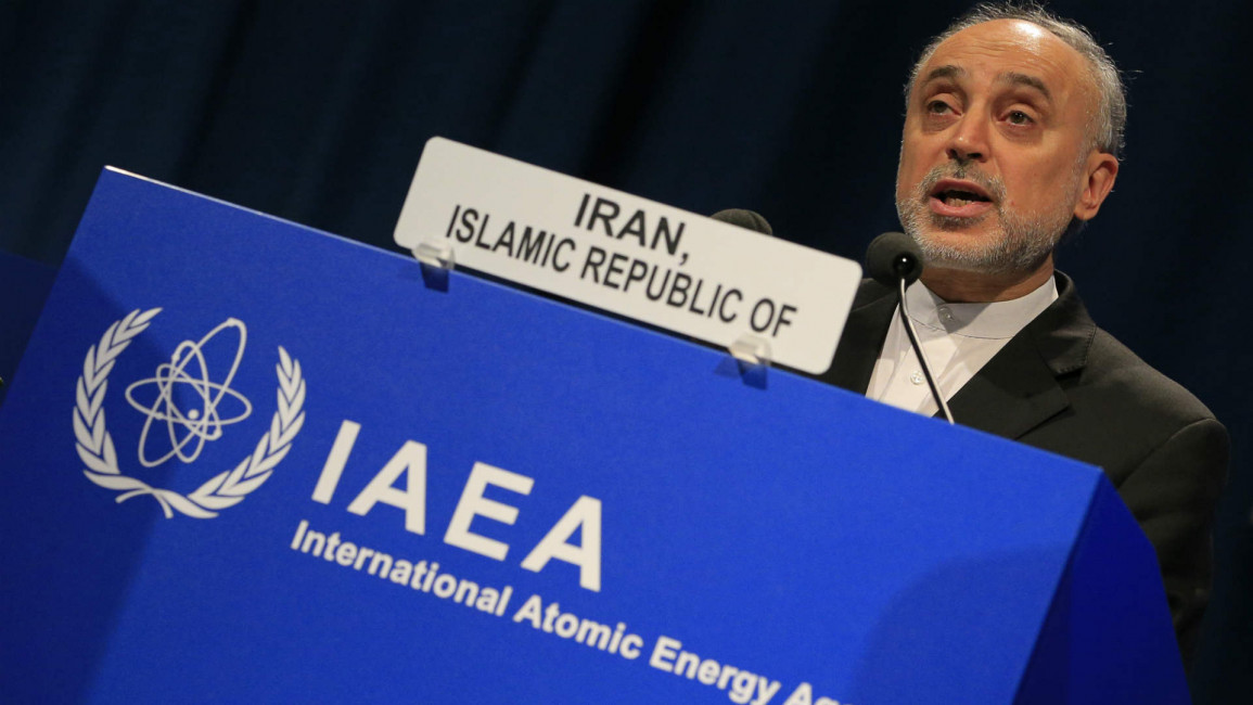 ran's Atomic Energy Organization president Ali Akbar Salehi
