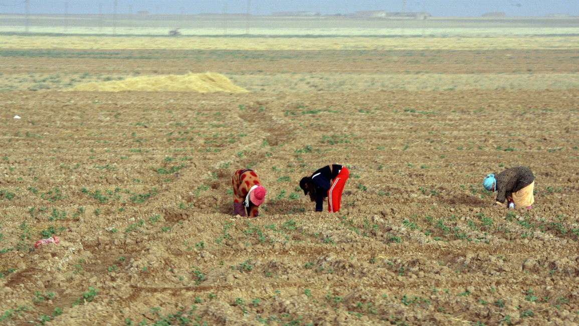 Syria drought Getty