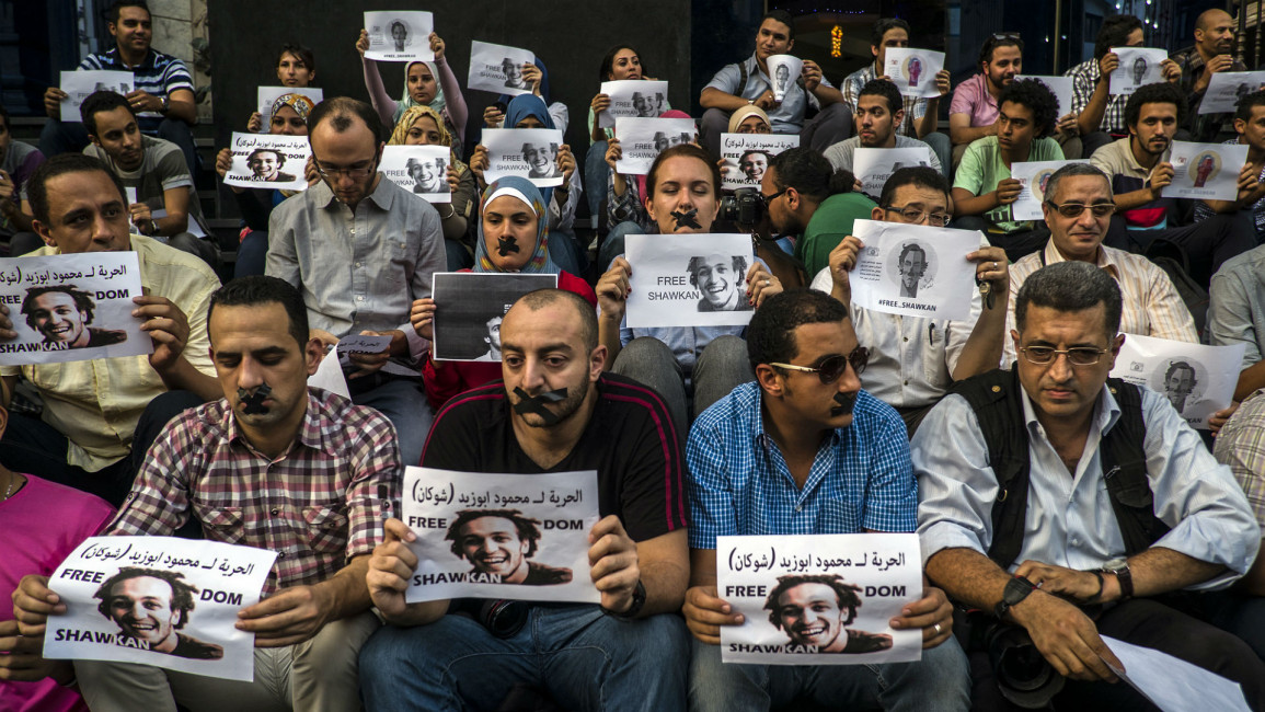 Shawkan protests Egypt freedom of expression 