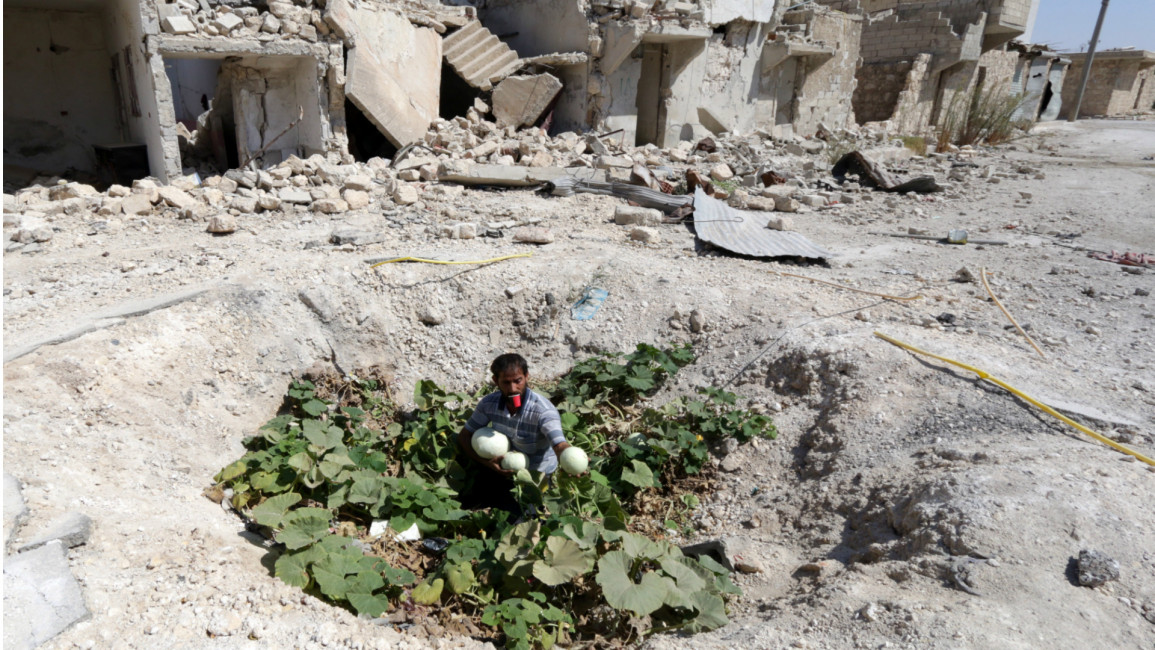 Syrian vegetable patch in barrel bomb site