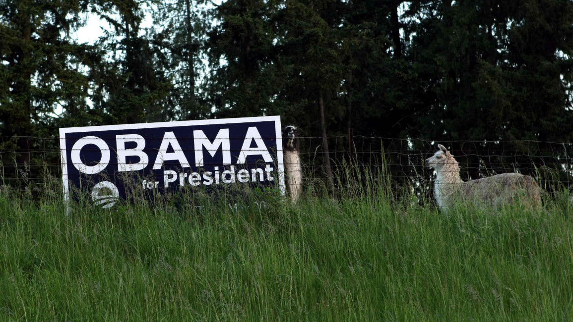 Obama llama getty