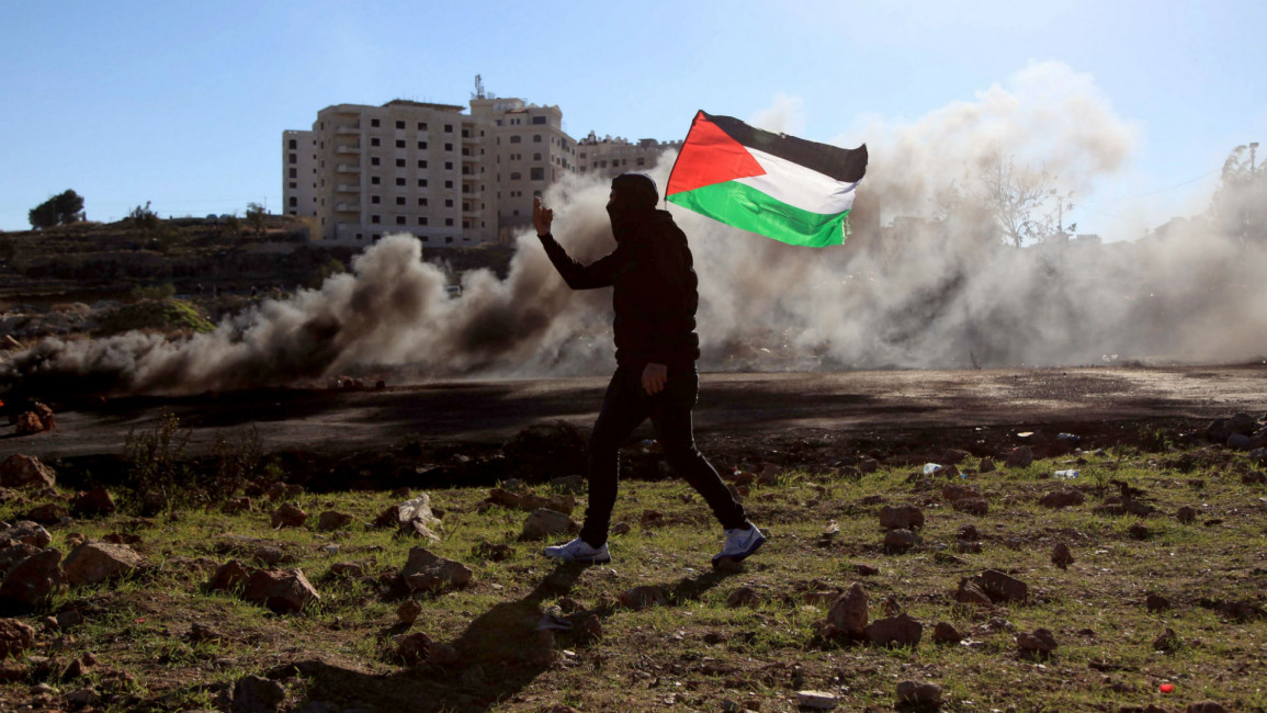 Protester Palestine