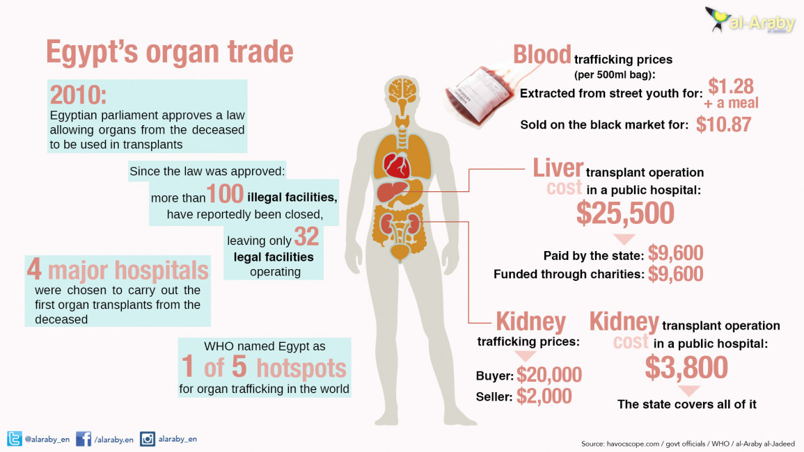 Egypt's organ trade