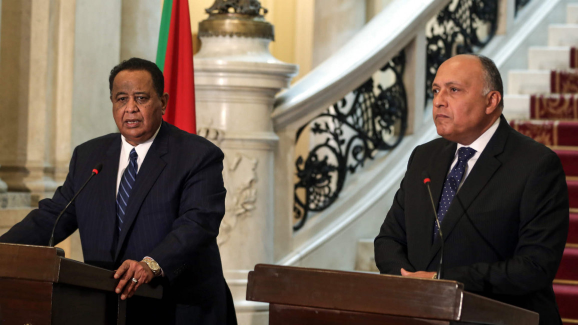 Egyptian and Sudanese foreign minister at talks in Cairo