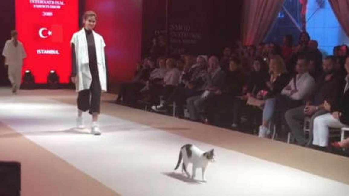 Kitty istanbul fashion show - twitter