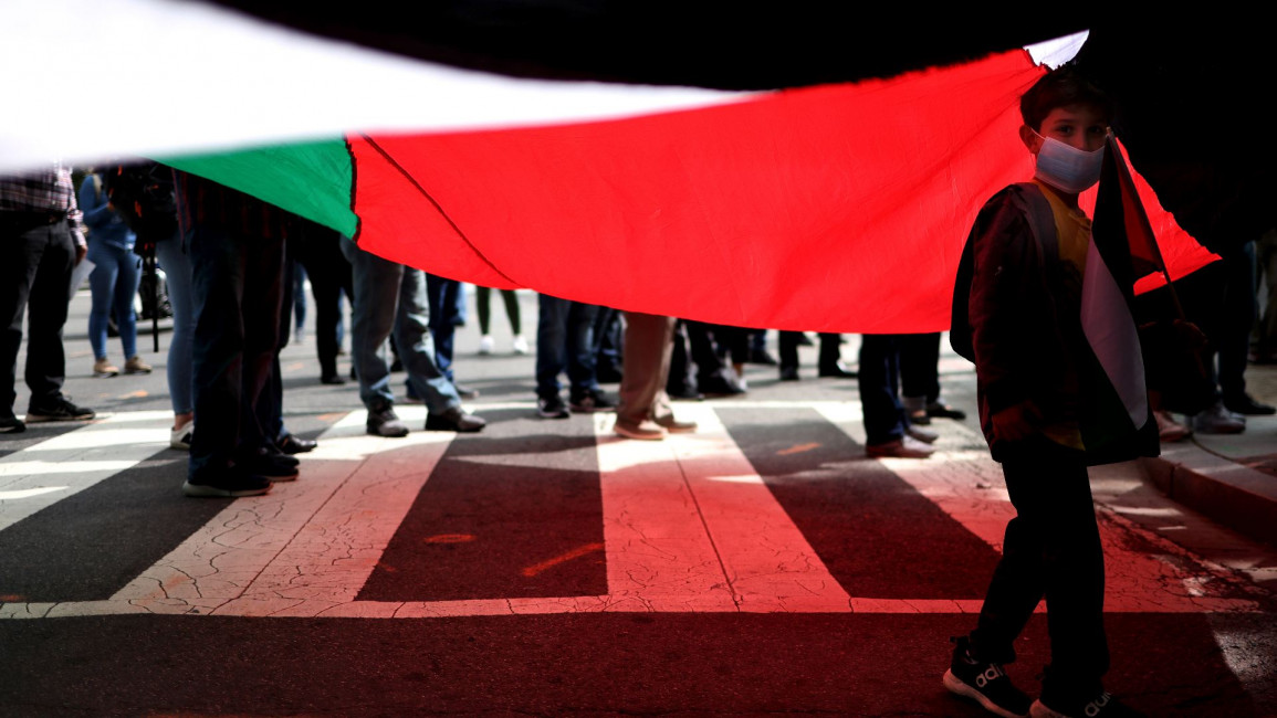 palestine protest white houes - Getty.jpg
