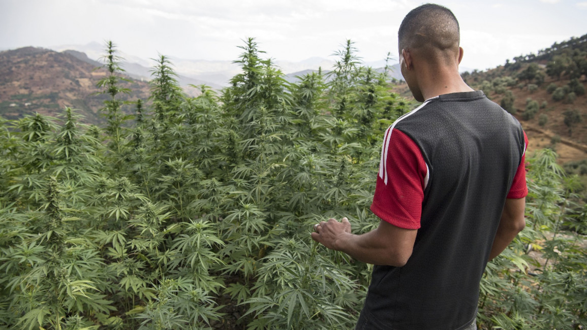 morocco cannabis afp