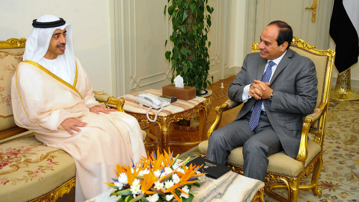 Sisi and UAE foreign minister