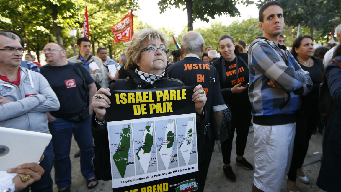 Pro-Palestine demo in Paris AFP