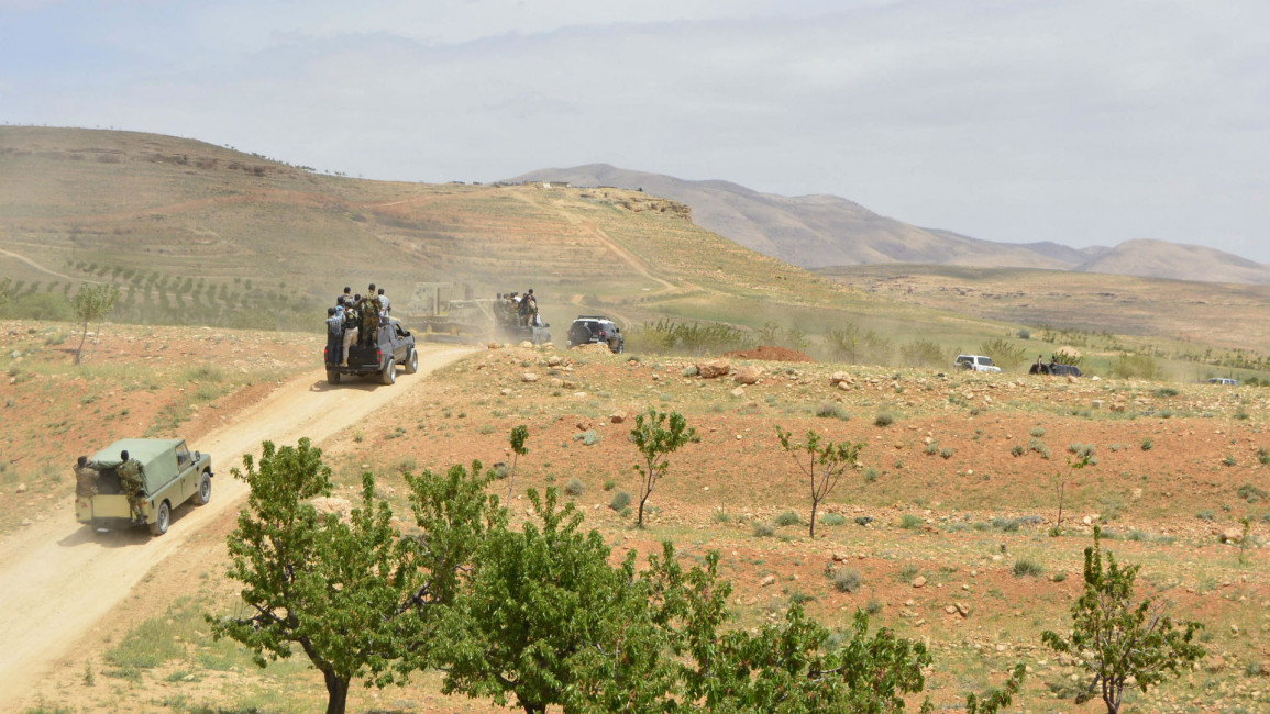 Syria-Lebanon border Qalamoun AFP