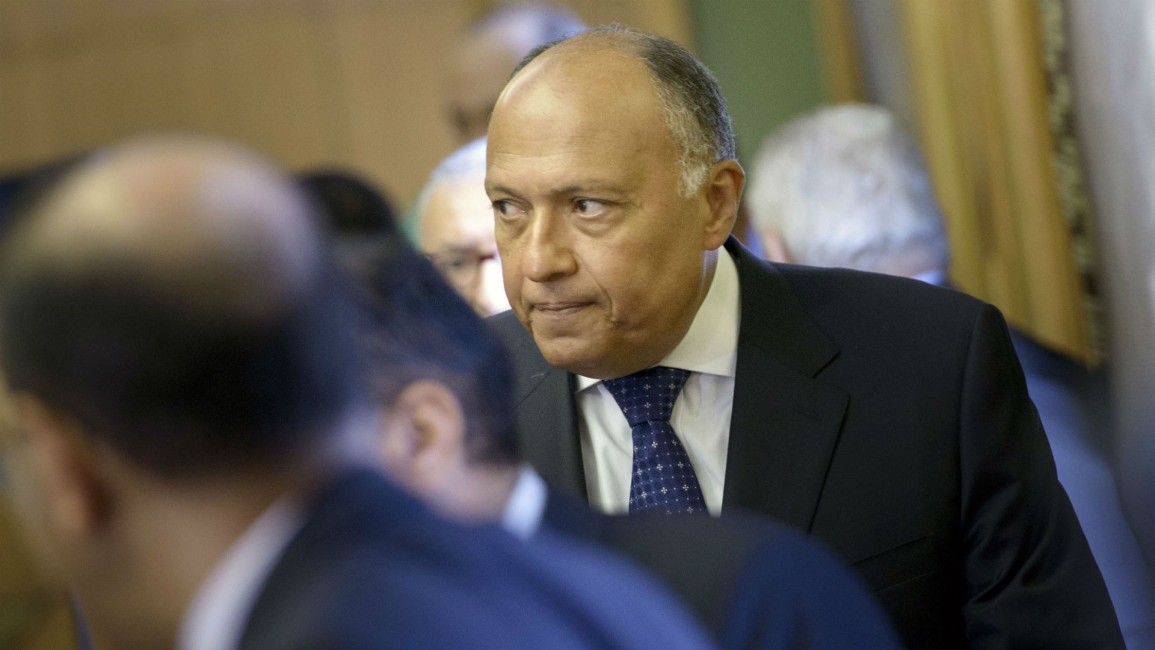 Getty Egypt foreign minister Sameh Shoukry 