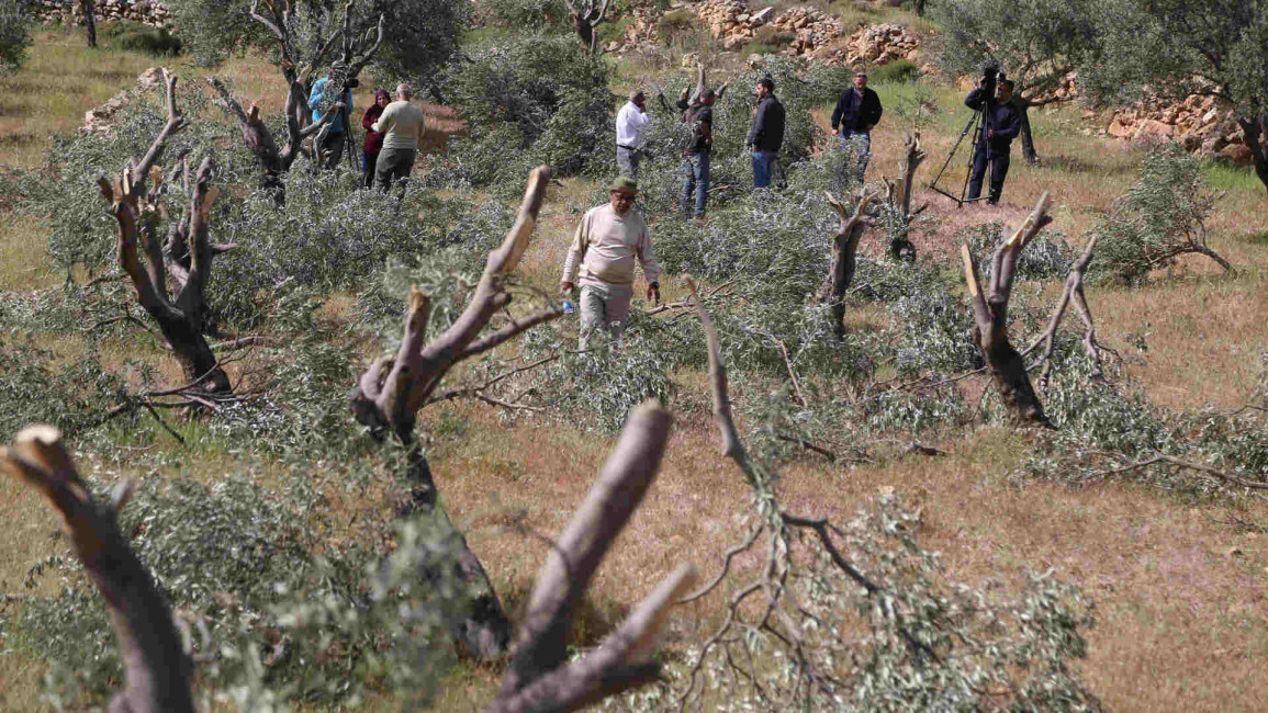 Palestinian olives vandalism - Getty