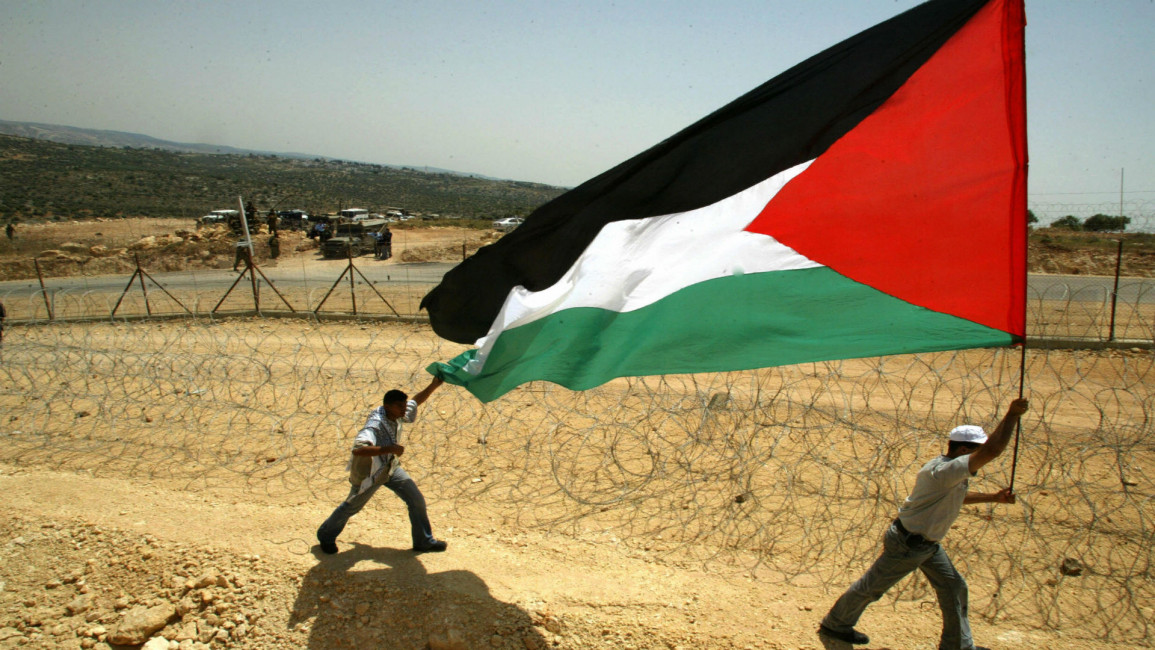 Palestine flag AFP